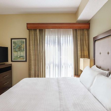Homewood Suites By Hilton St. Petersburg קלירווטר מראה חיצוני תמונה